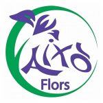 això flors