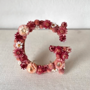 Inicial de flor seca amb PentesileaStudio